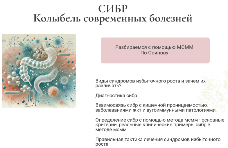 [Святослав Безродный, Ирина Хисамова] СИБР. Колыбе_0.png